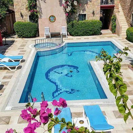 Aparthotel Pinarhan Studio Bitez